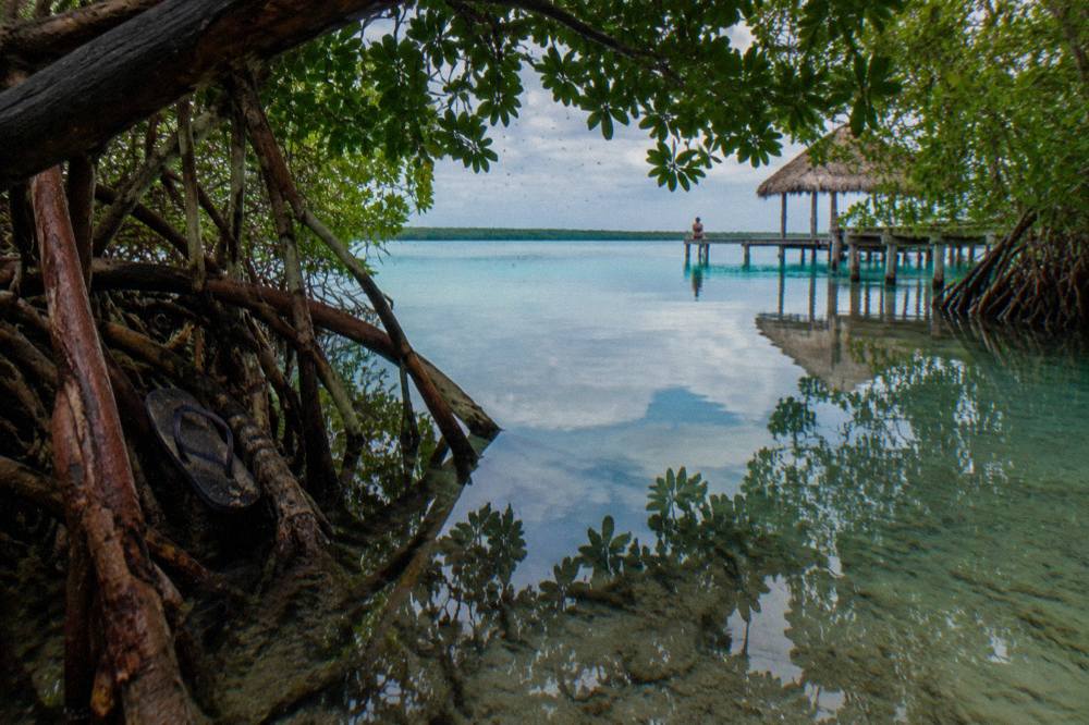 Quiet mangrove channel in Bacalar Lagoon with still water reflecting green trees