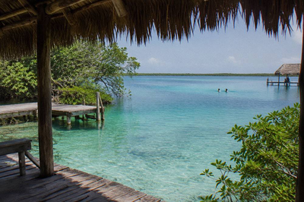 Turquoise open water of a wide cenote surrounded by dense green jungle foliage