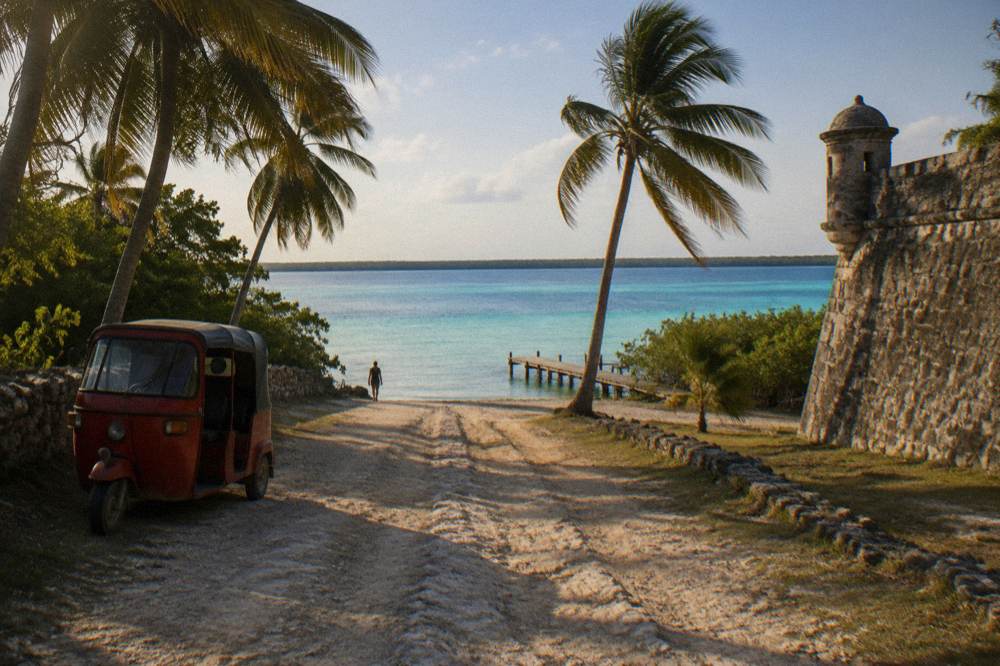 Quiet rural road lined with palm trees leading toward open water in late afternoon light