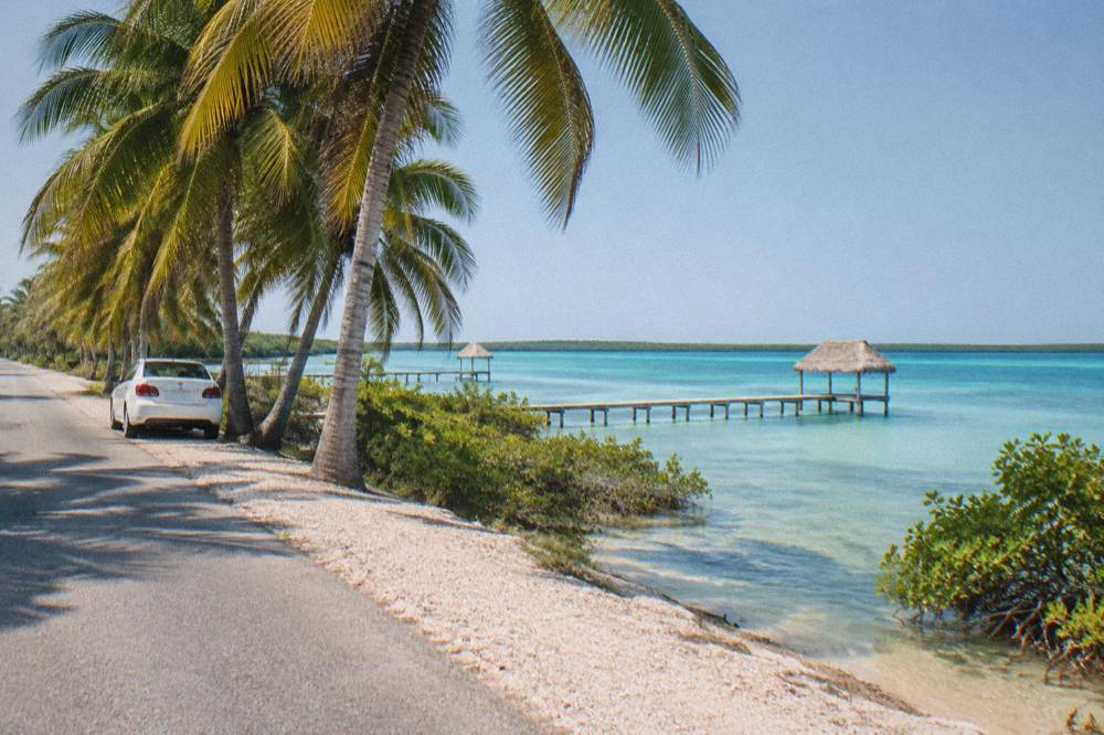 Palm trees along a quiet coastal road near Mahahual under a clear sky