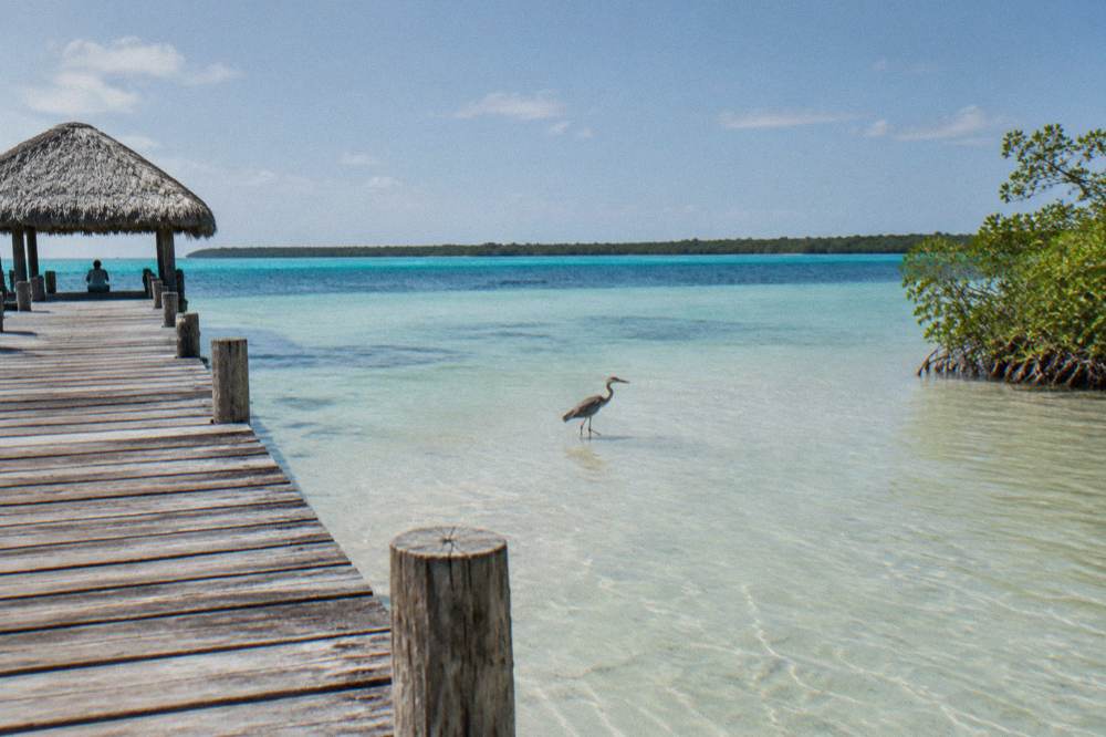 Wooden jetty extending over clear shallow water in Bacalar Lagoon at midday