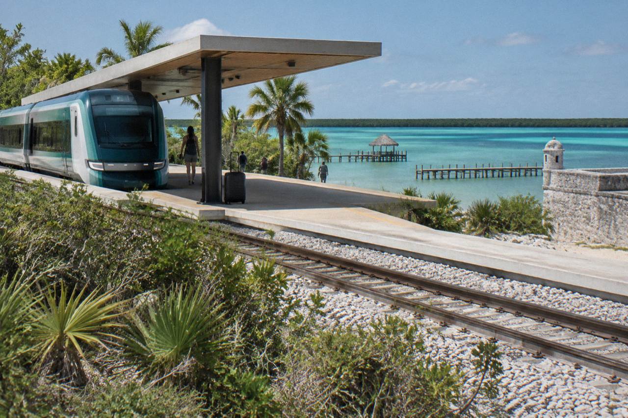 A modern passenger train platform beside tropical scrubland under a bright sky