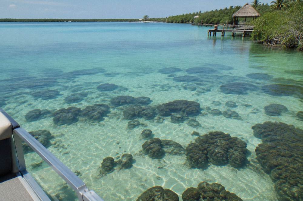 A pontoon boat floating over pale sand and dark microbialite mounds in clear shallow lagoon water