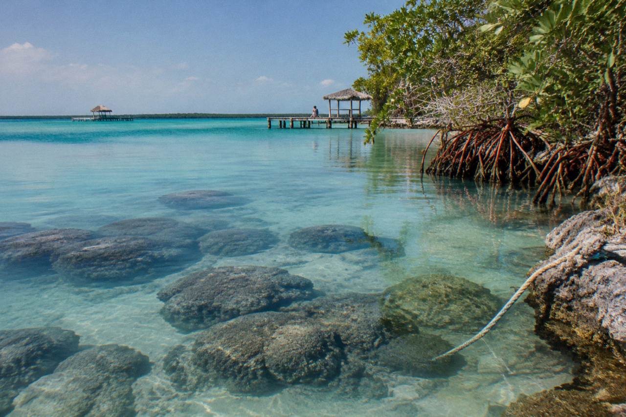 Close view of dark rocky microbialite formations rising beneath clear turquoise lagoon water