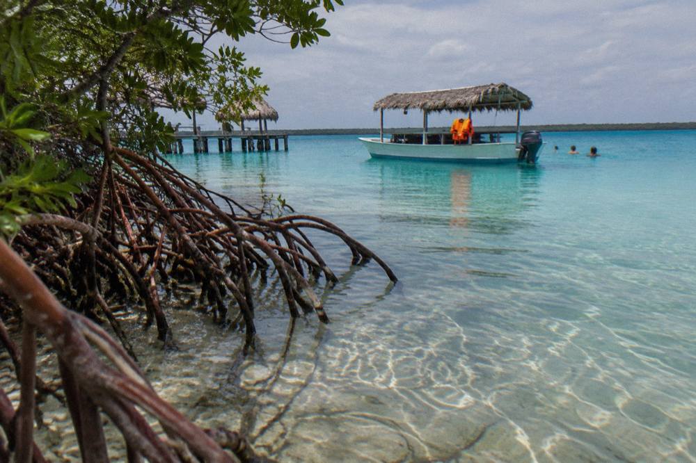 Sunlight on shallow turquoise water along a mangrove shoreline of Bacalar Lagoon
