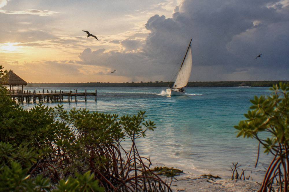 A small sailboat heeling gently on flat blue-green lagoon water with mangroves in the distance