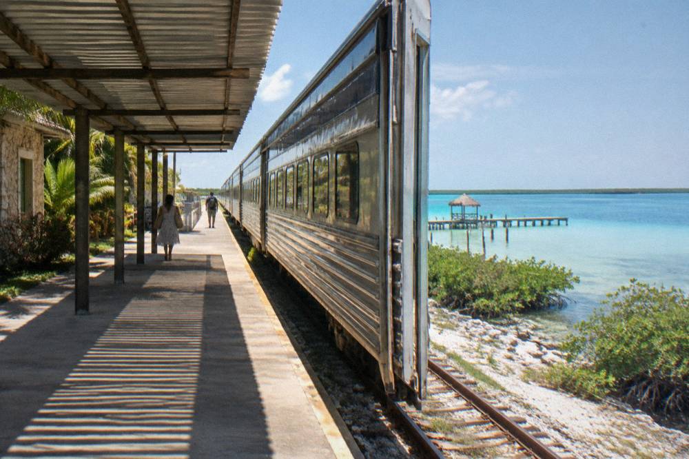 Modern passenger train stopped at a station platform surrounded by tropical vegetation