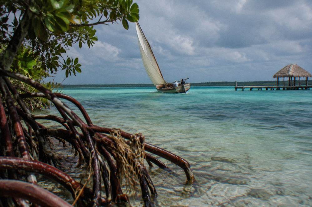 Wooden sailboat gliding across clear shallow blue water near a mangrove shoreline