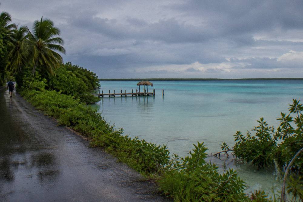 Open highway road heading toward Bacalar through green low forest