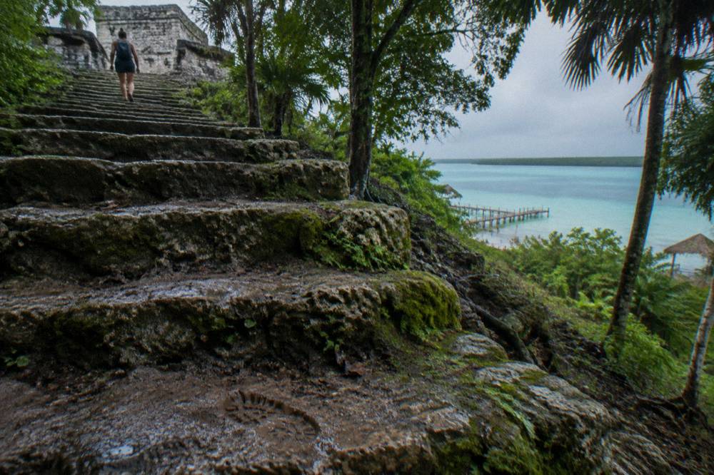 Ancient stone steps of a Mayan pyramid rising above low jungle canopy
