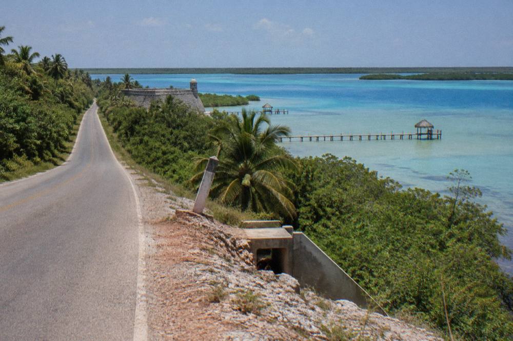 Empty highway 307 running south through green jungle under a clear sky
