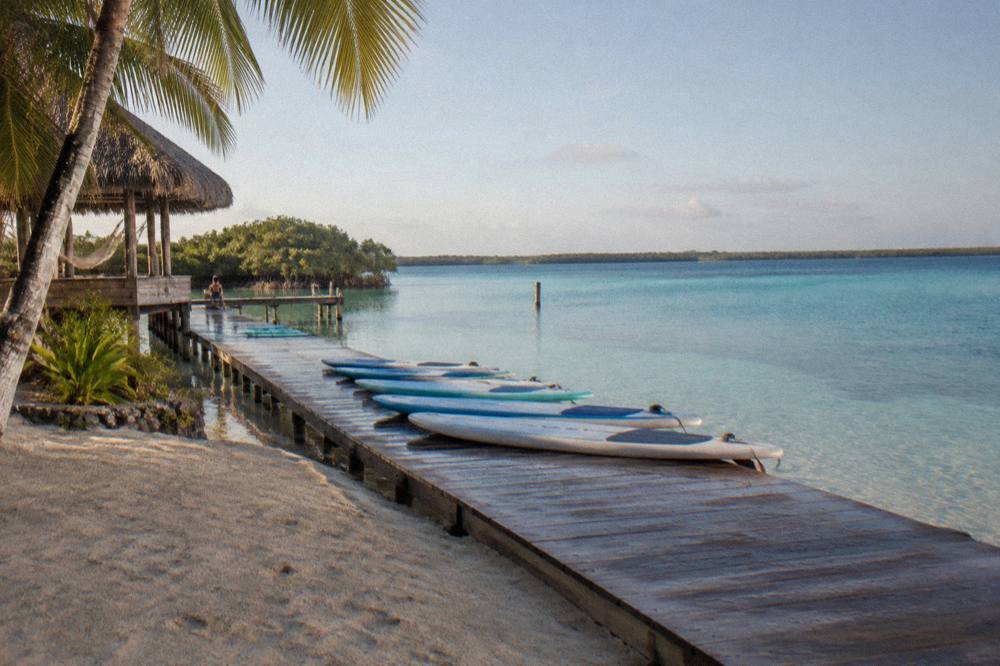 A group of paddle boards lined up on a wooden dock in early morning light beside clear water
