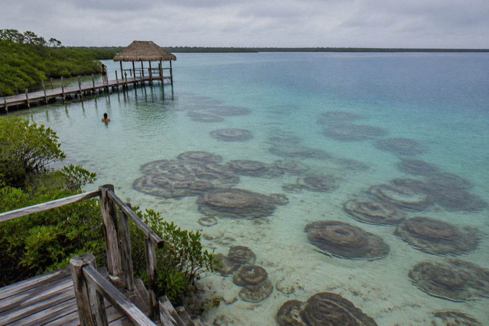 Banded microbialite formations visible beneath clear shallow water in Bacalar Lagoon