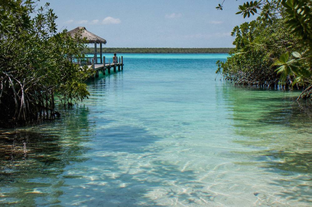 Clear shallow water of a narrow channel with mangroves on both banks