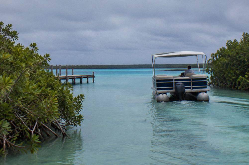 Pontoon boat moving slowly along a narrow mangrove channel in flat water