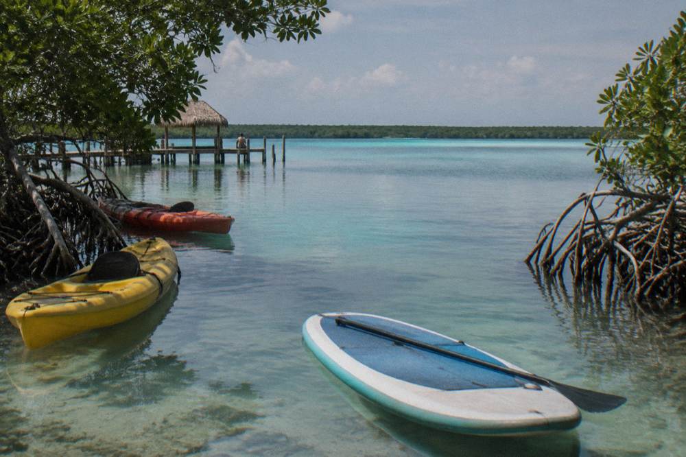 Kayaks and paddle boards floating in still turquoise water near mangroves