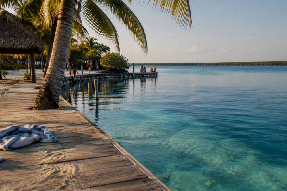 Wooden dock and palm trees at the edge of a blue freshwater pool in late light
