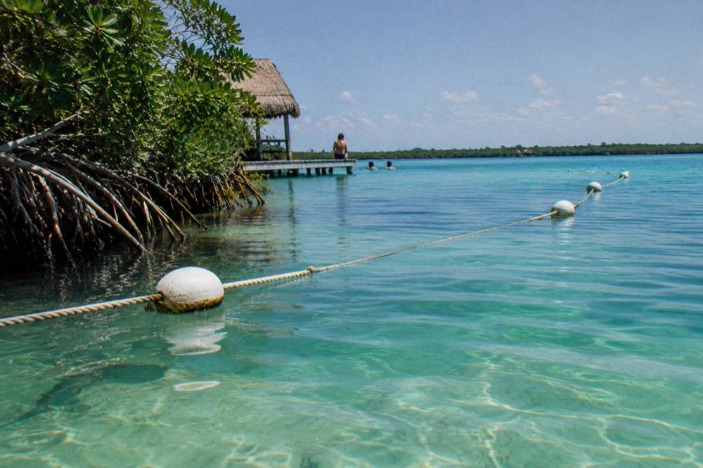 A buoy marking a protected zone in clear shallow lagoon water near a mangrove edge