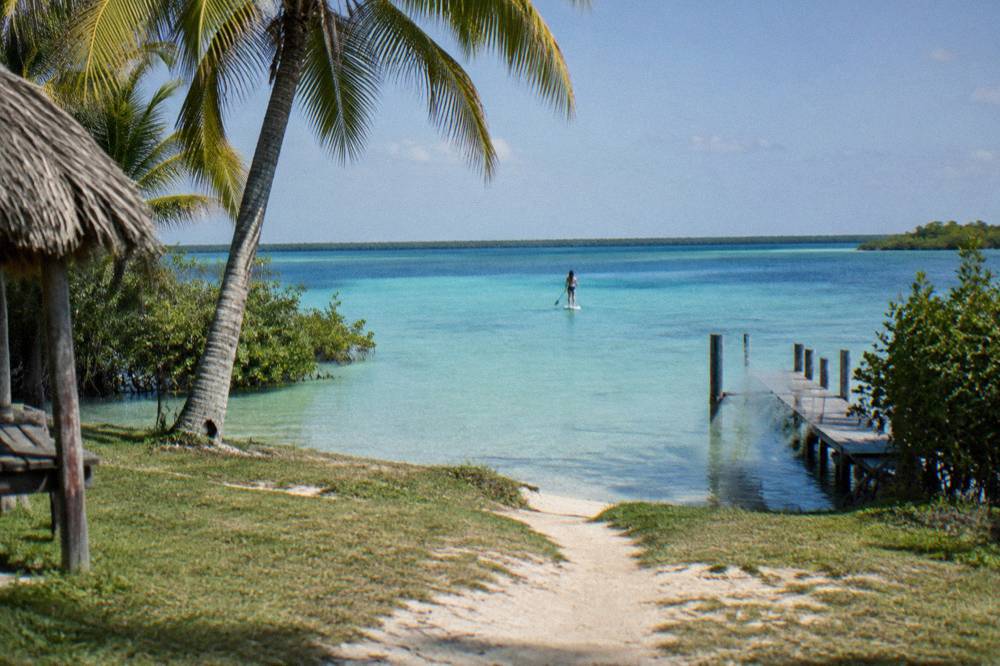 Palm trees leaning over calm turquoise lagoon water at a public access point in Bacalar