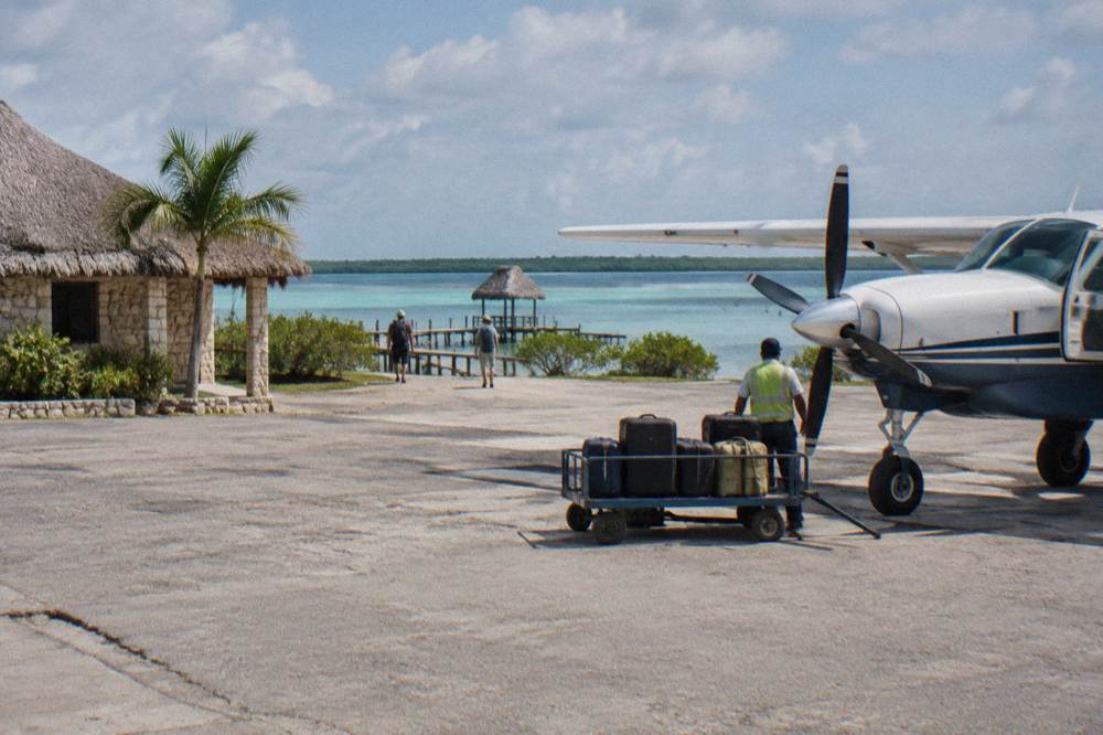 Small regional airport terminal with palm trees and a parked aircraft