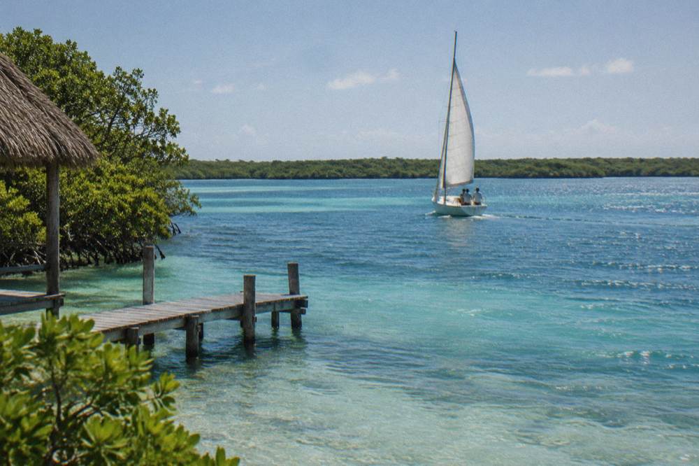 Sailboat crossing wide blue lagoon water toward a line of mangroves