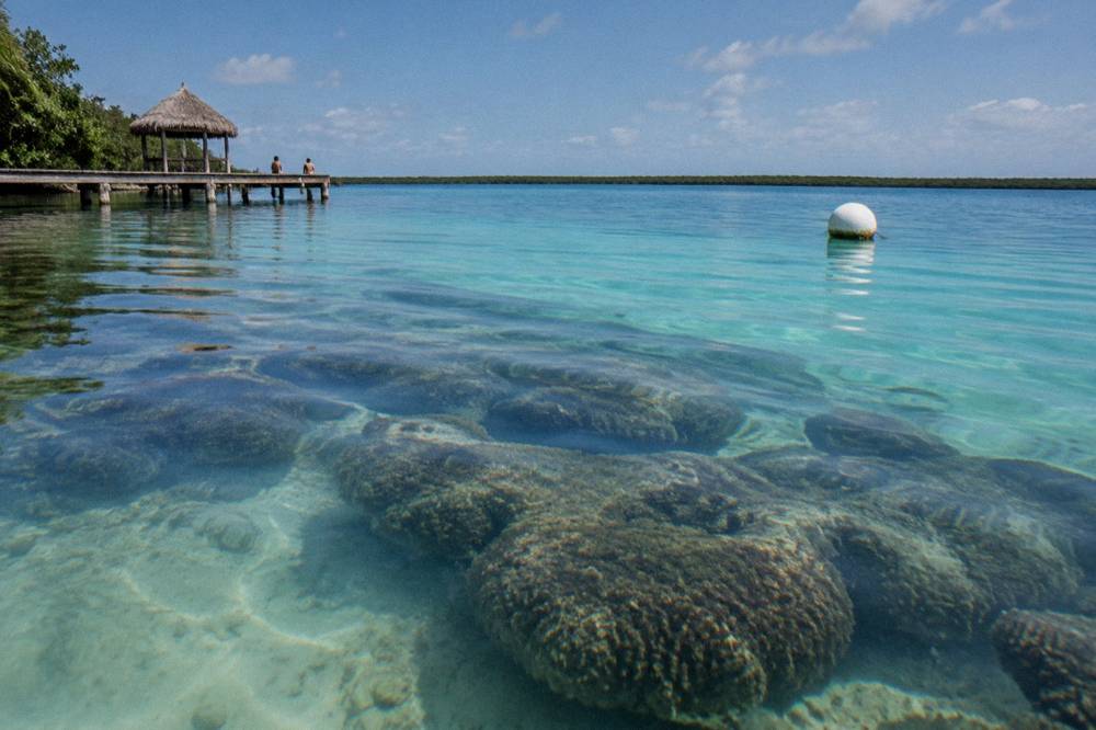 Dark microbialite structures visible beneath clear lagoon water beside a buoy