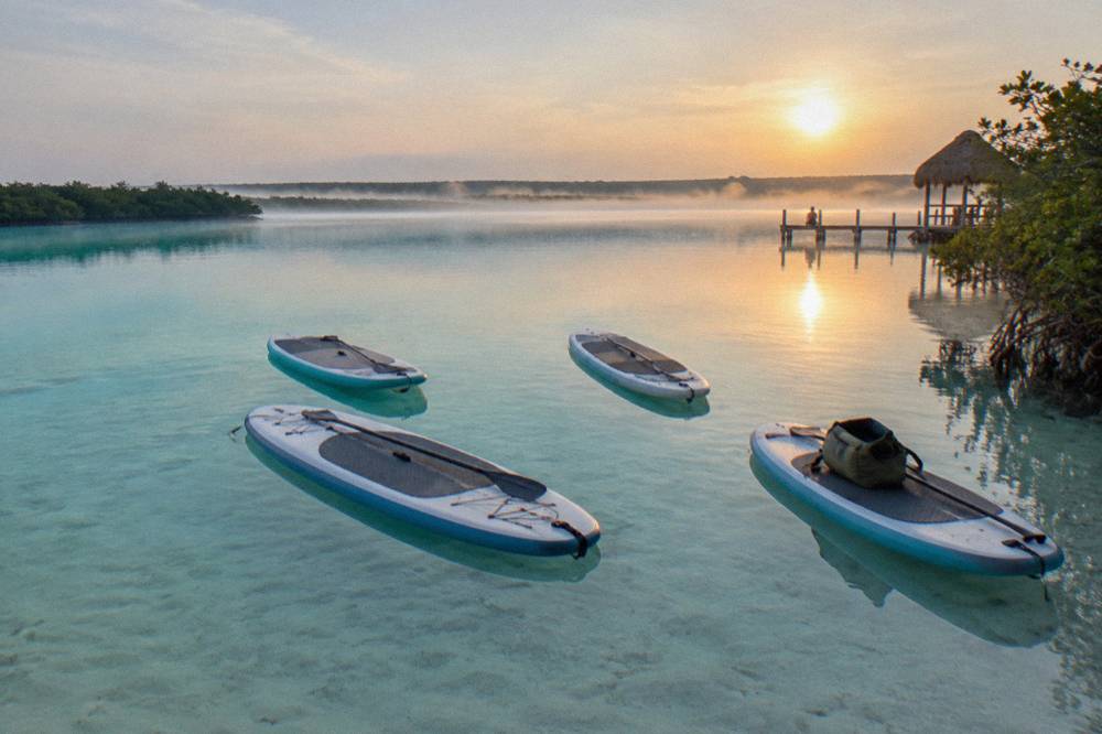 Paddleboards floating on glassy water at sunrise with mist over distant mangroves