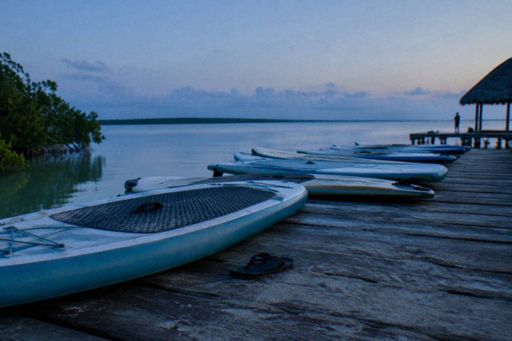 Paddleboards lined up on a wooden pier before dawn over still lagoon water