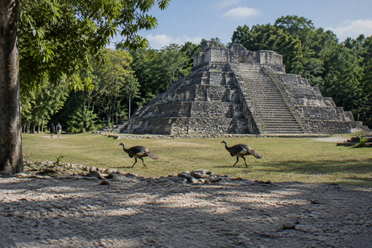 Stone ruins in the jungle near Bacalar on the Yucatan peninsula